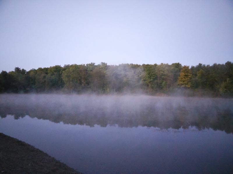 Eastern-pond-at-dawn.jpg